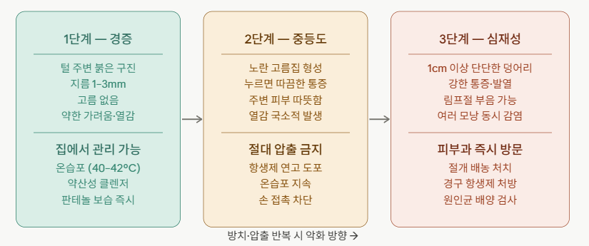 모낭염 단계별 진행과 신호