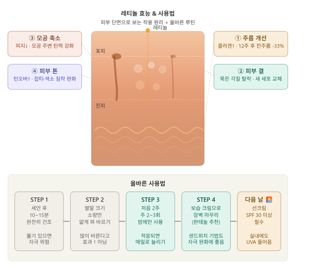 레티놀 효능 4가지 인포그래픽 — 주름개선 피부결 모공 피부톤 작용 원리 + 사용법 5단계